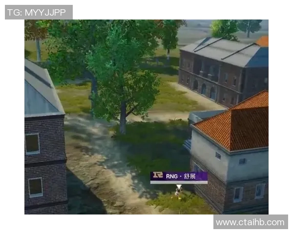 电竞实时数据解析RNG团队协作策略与和平精英战术分析 电竞实时数据解析RNG团队协作策略与和平精英战术分析